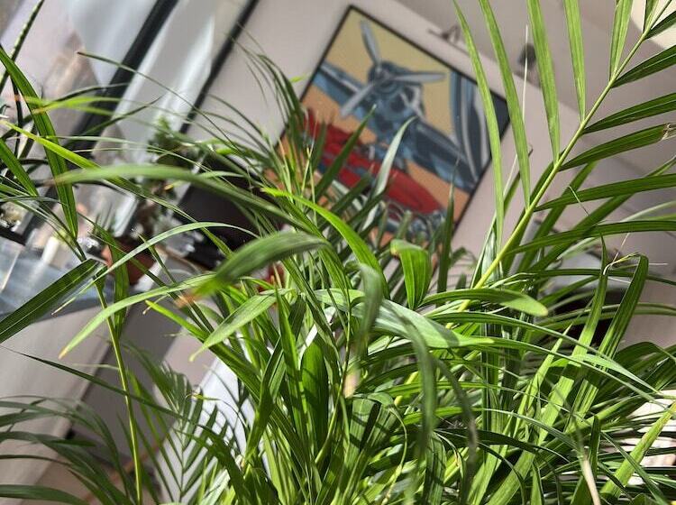 Отель Hôtel Vieille Tour Centre Rouen