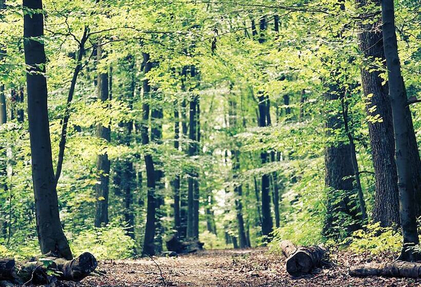 Отель Ibis Haguenau Strasbourg Nord