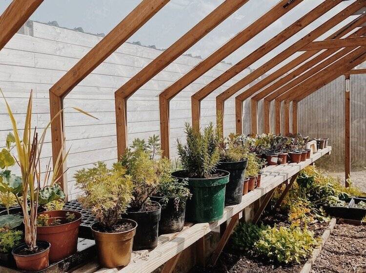 בית מלון כפרי La Butte