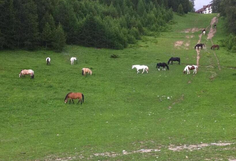 فندق La Portette