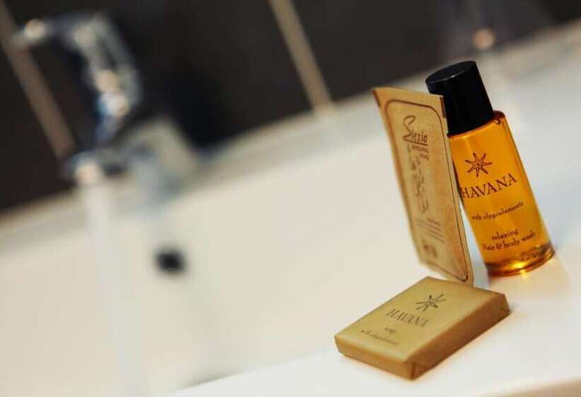 Отель Le Coudon