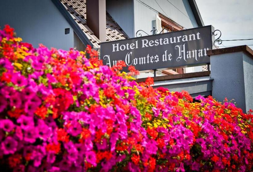 Logis Hotel Aux Comtes De Hanau