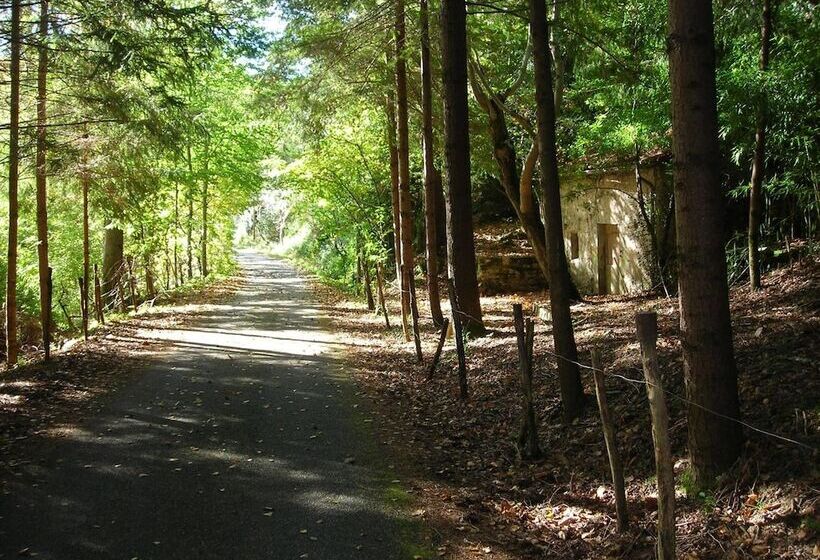 Отель Logis Hôtel Restaurant Belle Rive