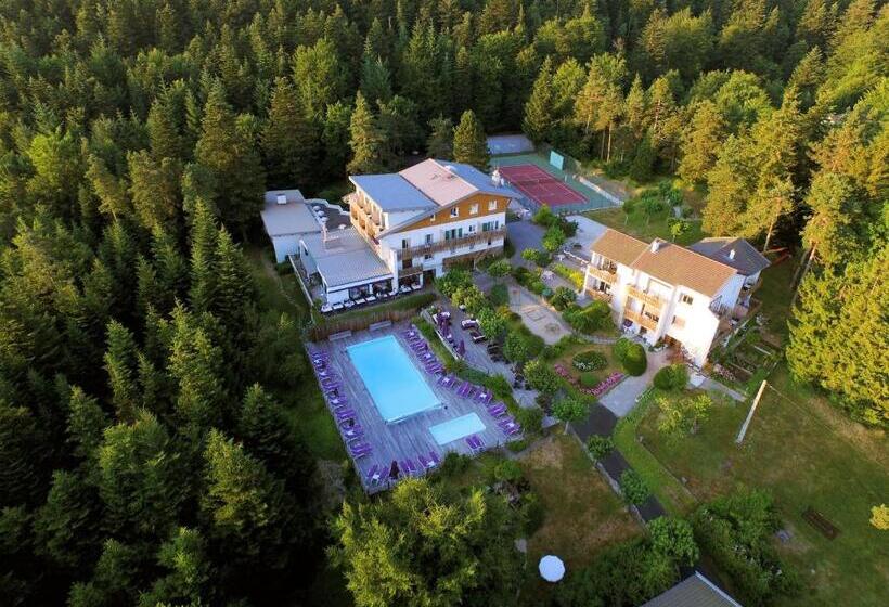 فندق Logis Hôtel Clair Matin