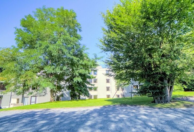 호텔 Logis Hôtel Restaurant Des Acacias Lille Tourcoing