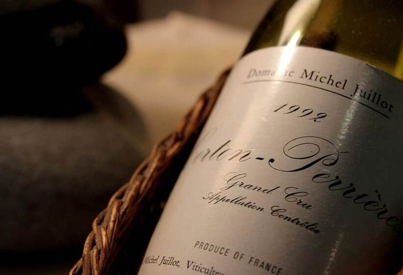 ホテル Logis Les Charmilles Chalonsursaone Sud