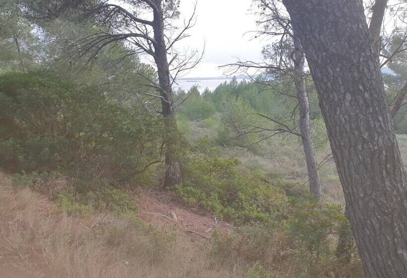 בית מלון כפרי Logis Hôtel & Restaurant Mediterranee