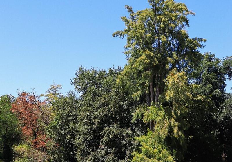 Logis Hotels   Château Saint Marcel