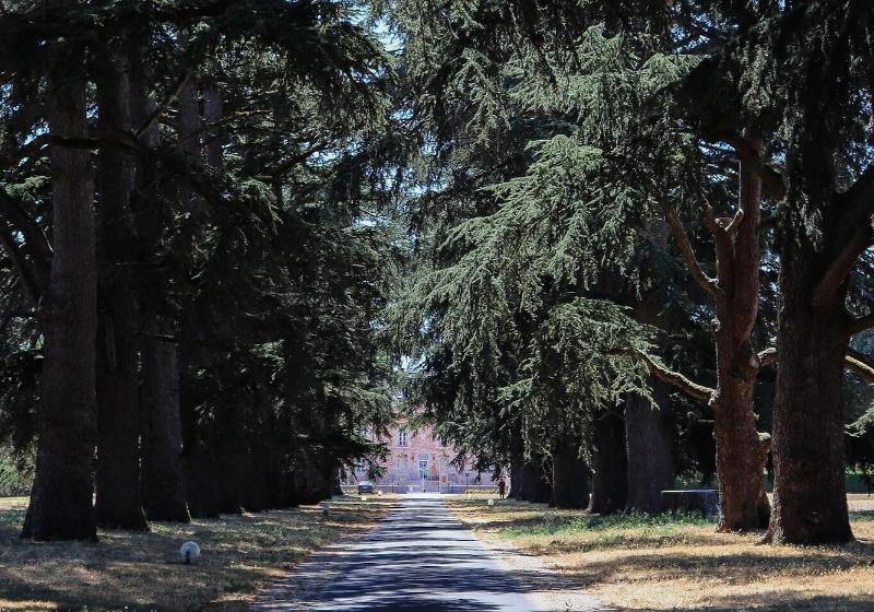 Logis Hotels   Château Saint Marcel