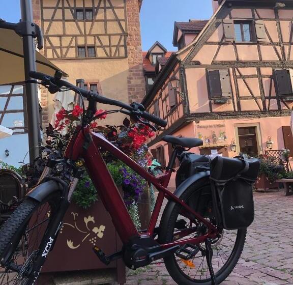 Contact Hotel Arc En Ciel Colmar