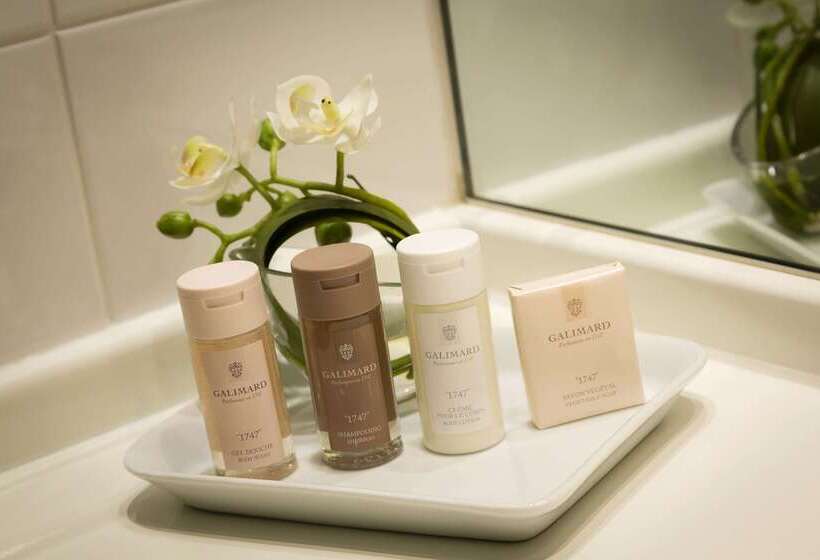 هتل Best Western Plus  Elixir Grasse