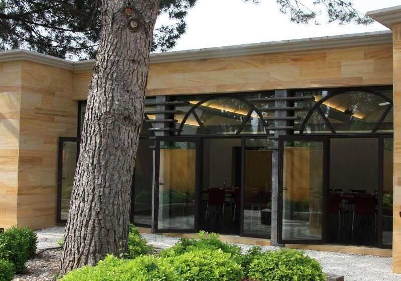 هتل Best Western Plus Le Lavarin