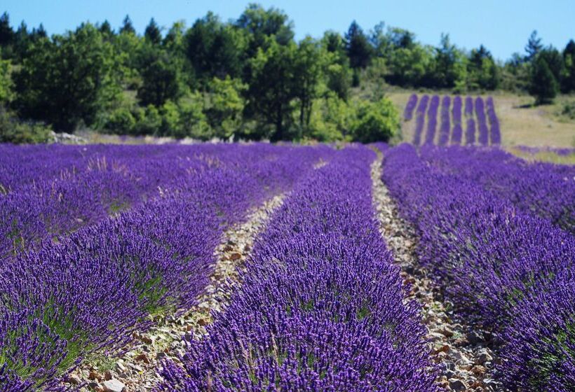 Отель Campanile Valence Sud