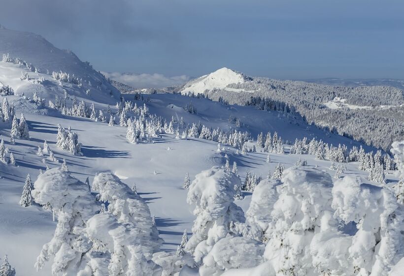 ホテル Chalet Hôtel La Mainaz Restaurant & Resort