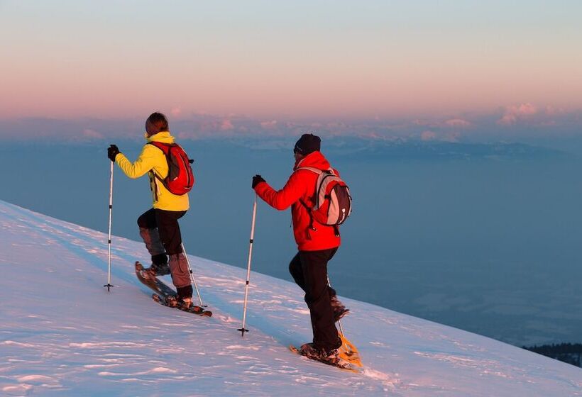 ホテル Chalet Hôtel La Mainaz Restaurant & Resort