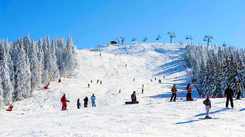 ホテル Chalet Hôtel La Mainaz Restaurant & Resort