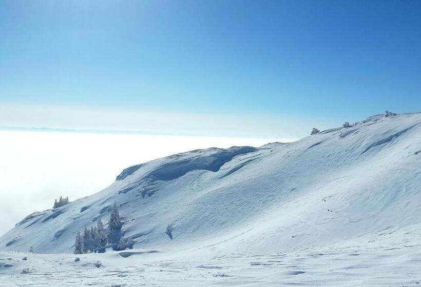 ホテル Chalet Hôtel La Mainaz Restaurant & Resort