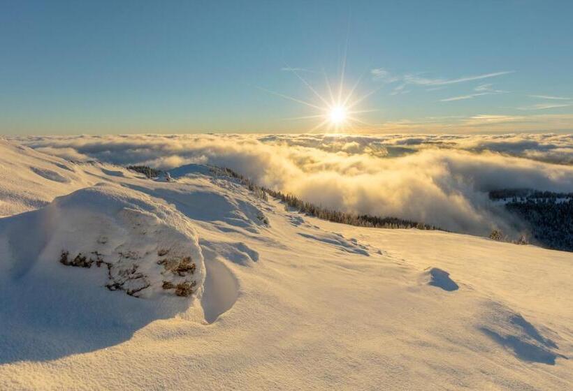 ホテル Chalet Hôtel La Mainaz Restaurant & Resort