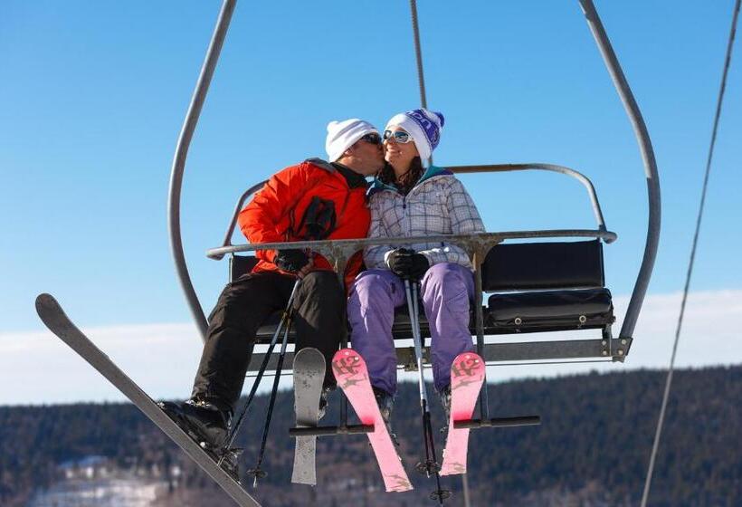 ホテル Chalet Hôtel La Mainaz Restaurant & Resort