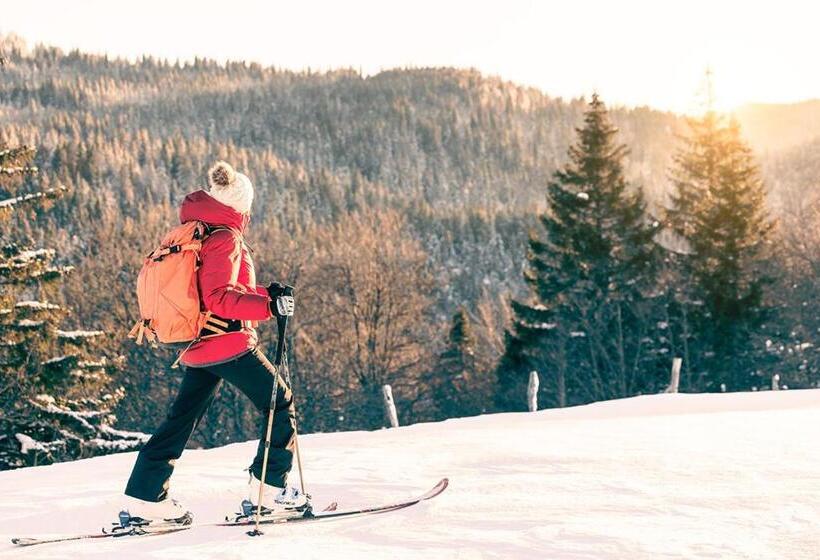 ホテル Chalet Hôtel La Mainaz Restaurant & Resort