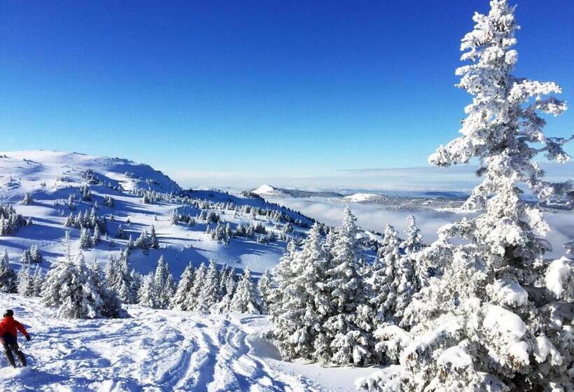 ホテル Chalet Hôtel La Mainaz Restaurant & Resort