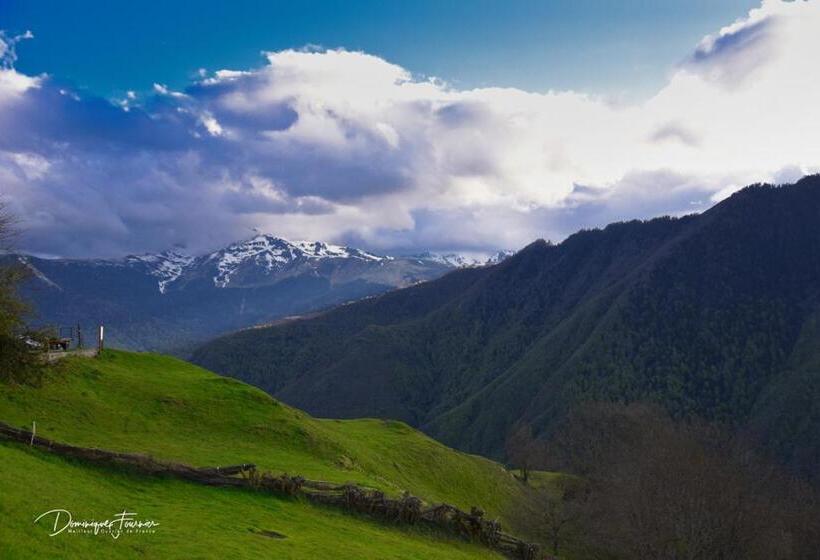 酒店 Des 2 Nations