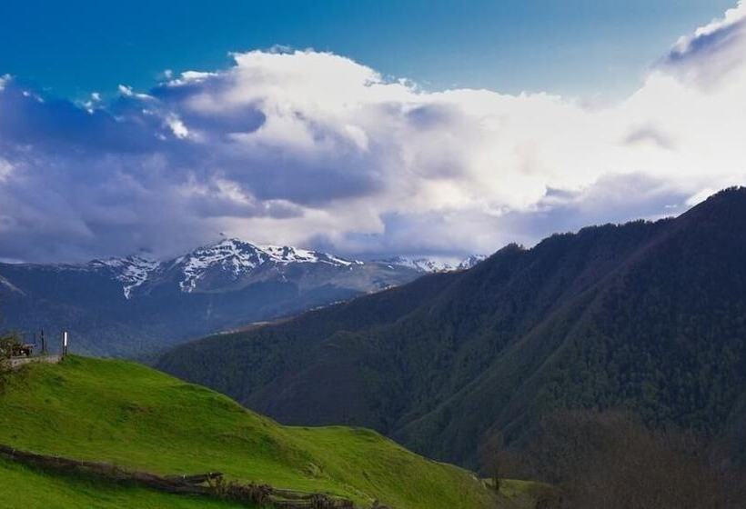 酒店 Des 2 Nations