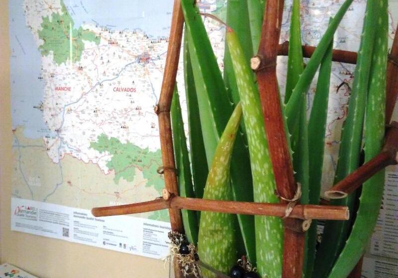 בית מלון כפרי Des Quatrans