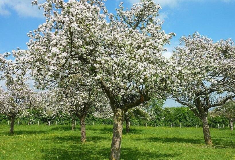 호텔 Des Thermes Et Du Casino