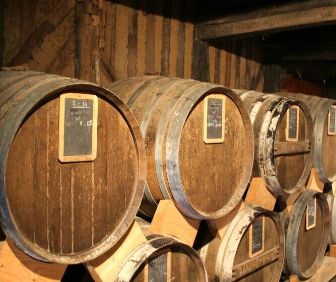 호텔 Des Thermes Et Du Casino