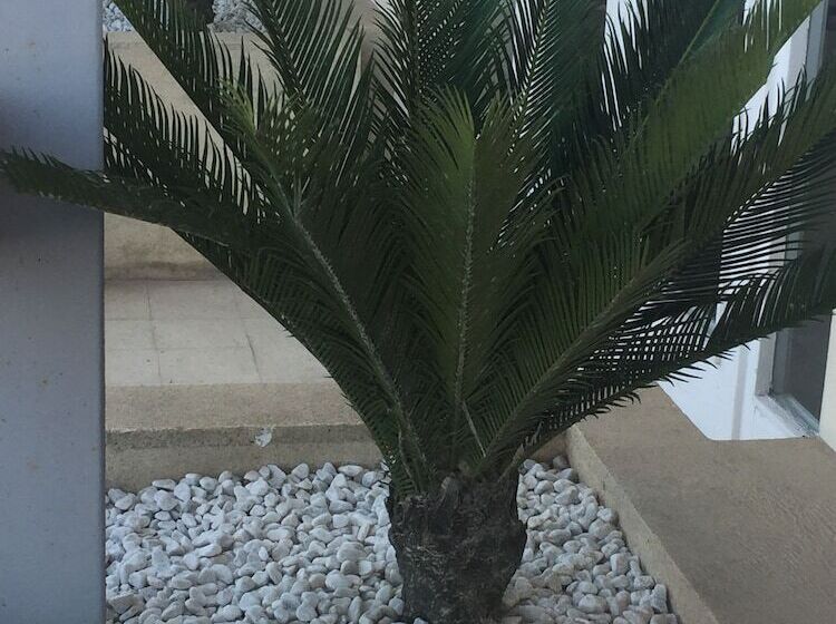 호텔 Des Thermes Et Du Casino