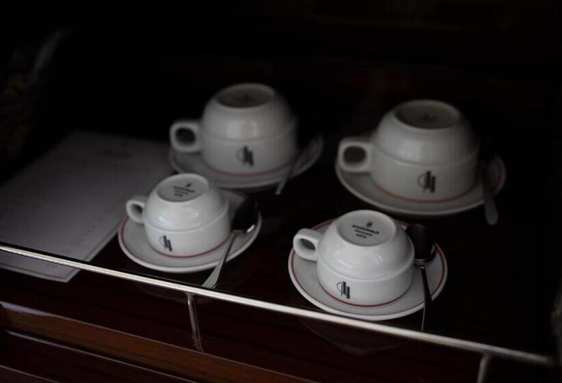 호텔 Du Parc Mulhouse Centre