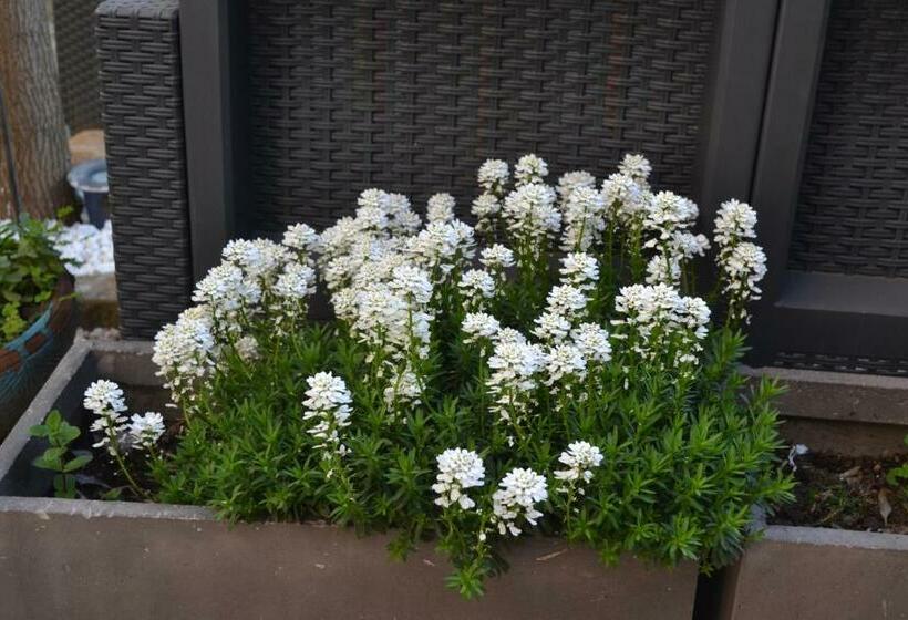 호텔 Durand Le Patio