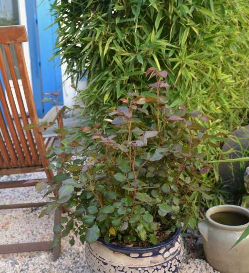 ホテル Durand Le Patio