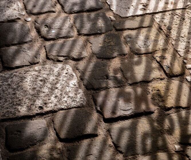 Отель Grand Hôtel Du Lion D Or