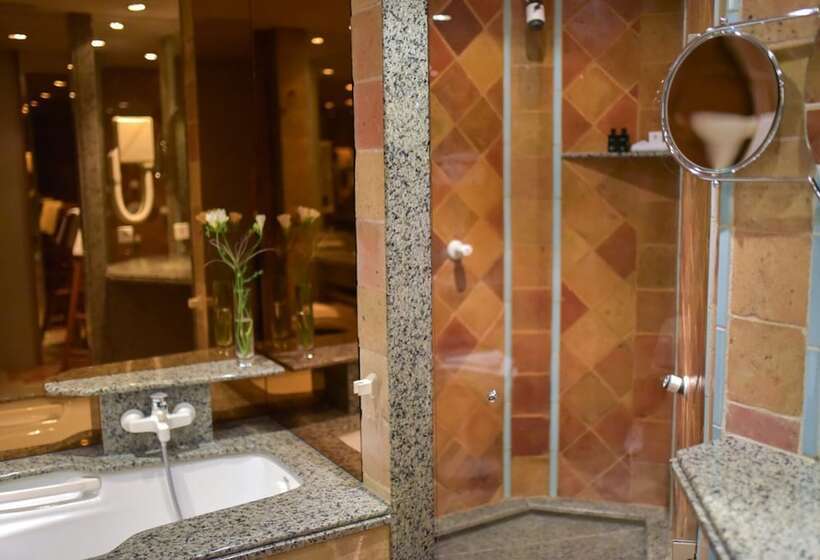 Отель Grand Hôtel Du Lion D Or