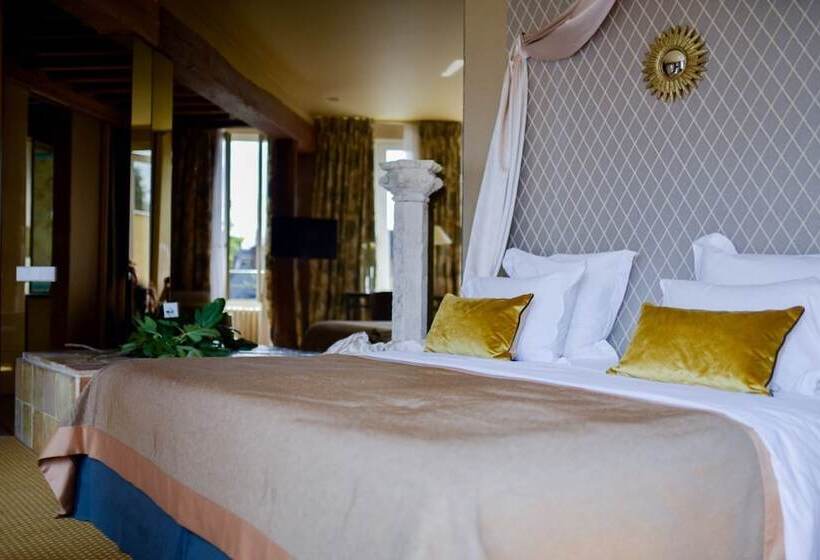 Отель Grand Hôtel Du Lion D Or