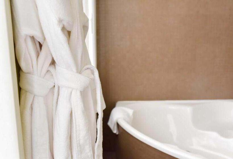 Отель Grand Hôtel Du Lion D Or