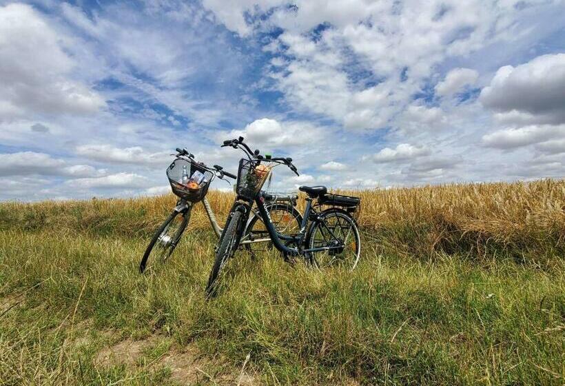 فندق Château Du Bois Guibert