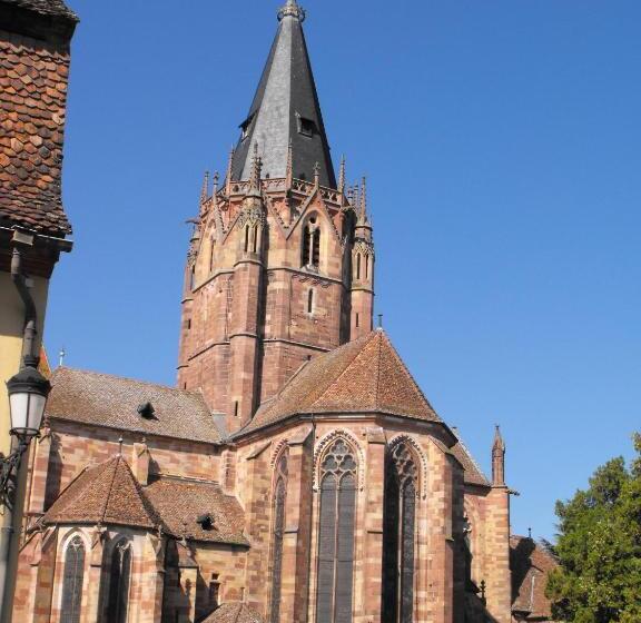 호텔 Hôtel D Alsace