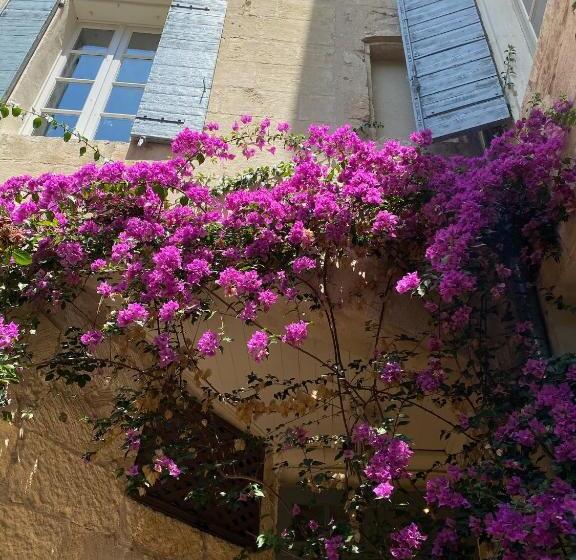 בית מלון כפרי Hôtel Du Musée