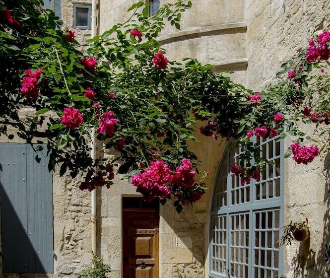 בית מלון כפרי Hôtel Du Musée