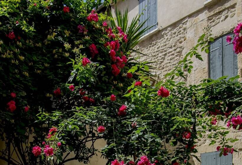 בית מלון כפרי Hôtel Du Musée