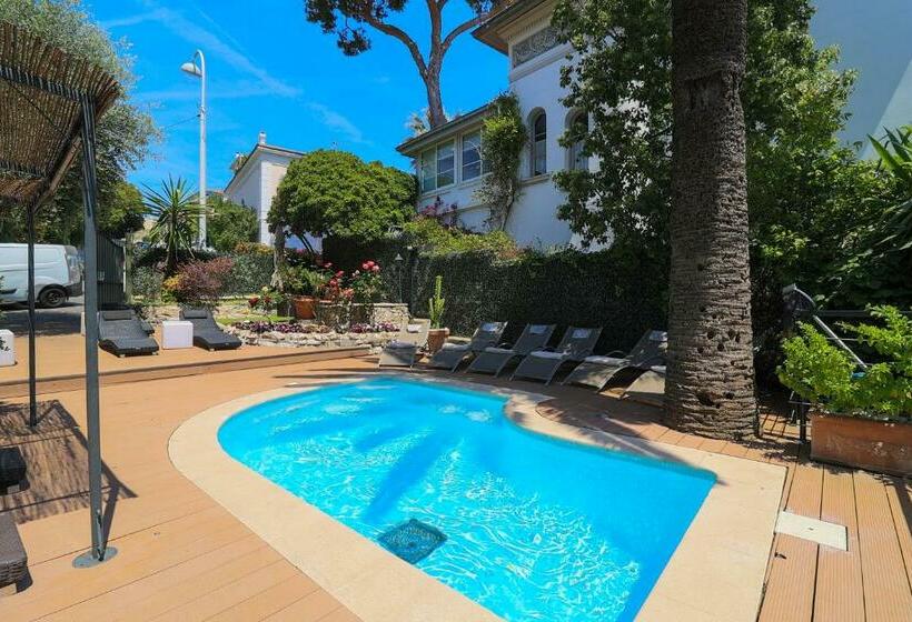 فندق Hôtel Petit Palais