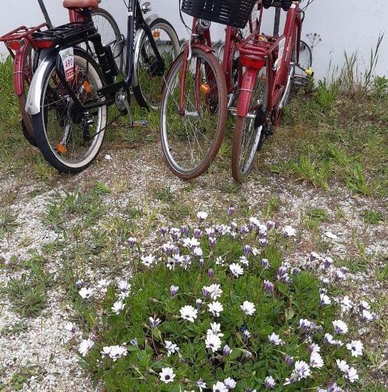 ホテル Hôtel Ker Noyal Quiberon Plage