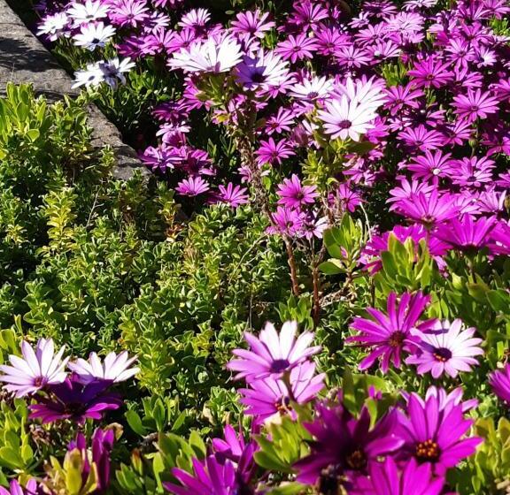 ホテル Hôtel Ker Noyal Quiberon Plage