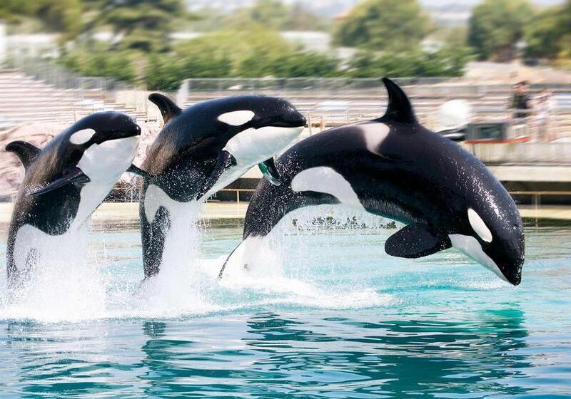 בית מלון כפרי Ibis Antibes Sophia Antipolis