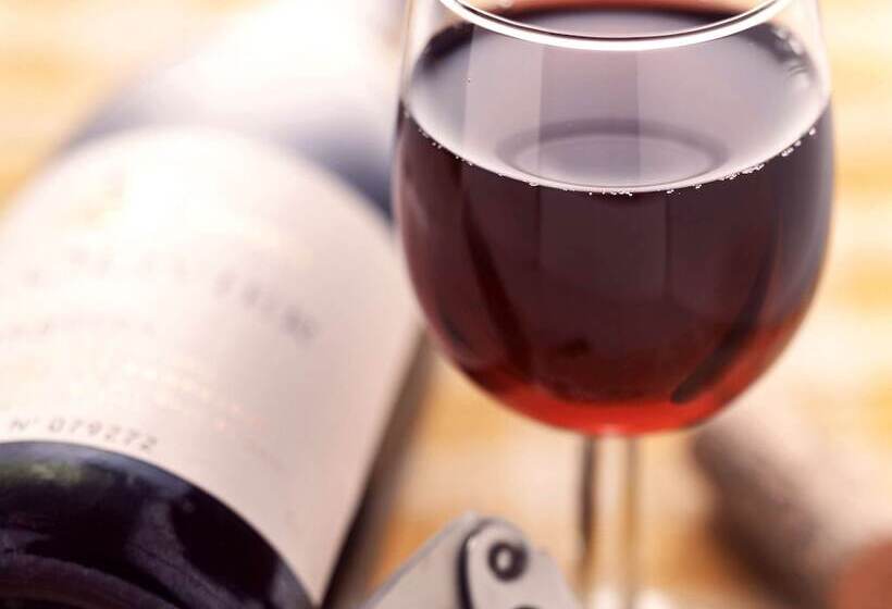 בית מלון כפרי Ibis Beziers Est Mediterranee A9/a75