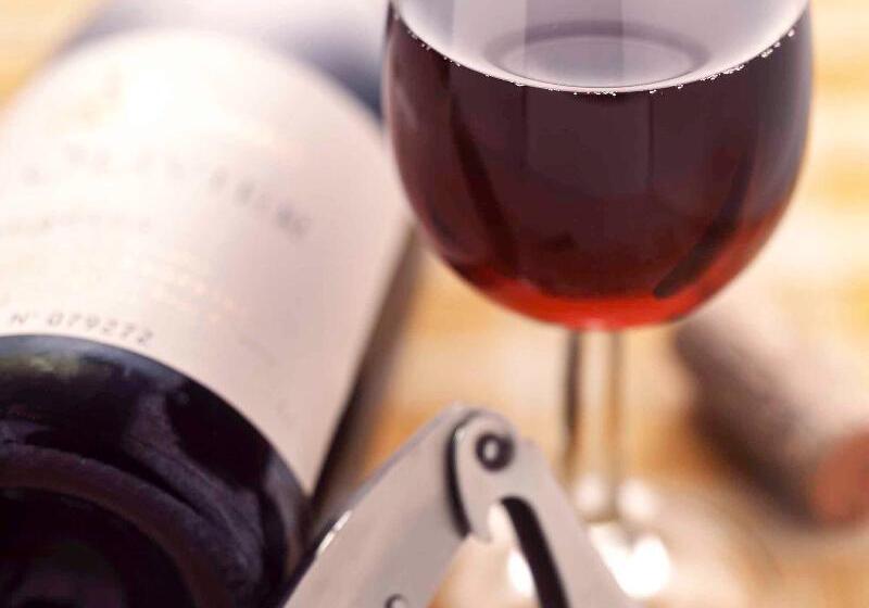 هتل Ibis Bordeaux Pessac Route Des Vins