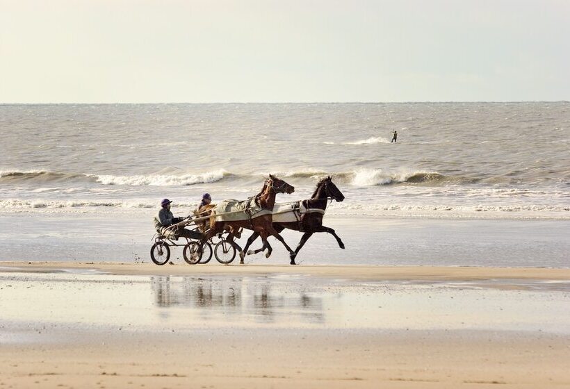 酒店 Ibis Deauville Centre